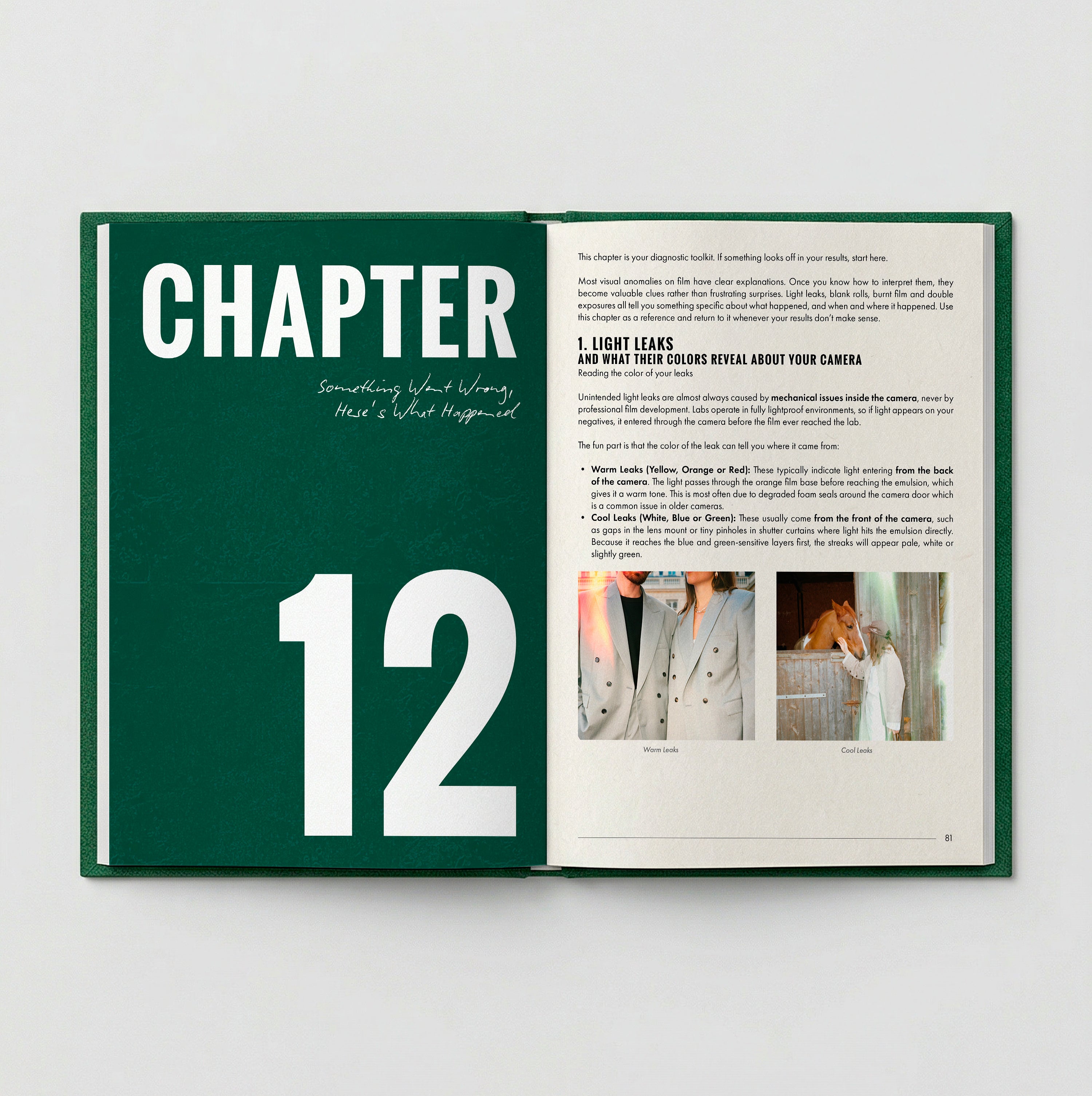 Complete Film Photography Guide